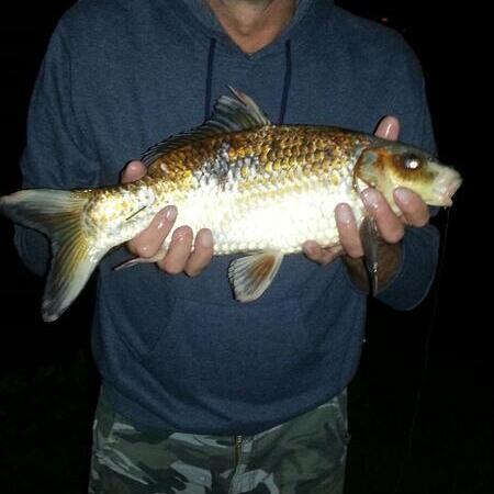 Mann hält gefangenen Fisch hoch
